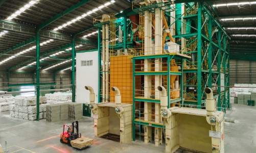 Greenfeed lãi 3.657 tỷ đồng, tăng trưởng mạnh mẽ năm 2025