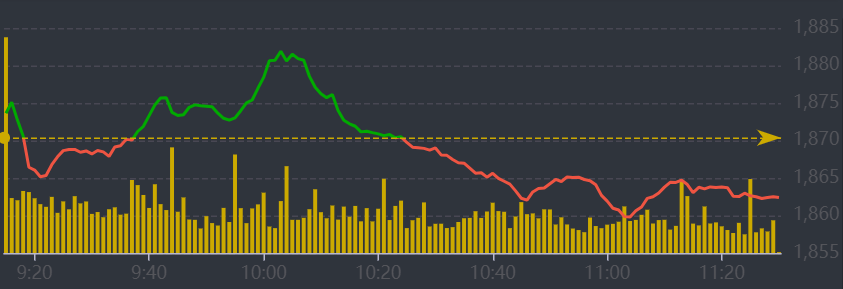 Diễn biến VN-Index sáng nay.