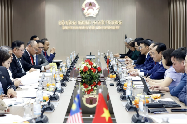 Toàn cảnh buổi làm việc. Ảnh: mae.gov.vn