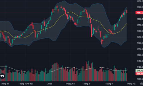 Cầu bắt đáy ở cổ phiếu vừa và nhỏ, khối ngoại xả ròng đột biến
