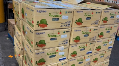 Vietnam exports first batch of fresh pomelos to Australia