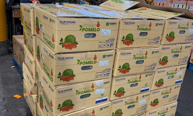Vietnam exports first batch of fresh pomelos to Australia