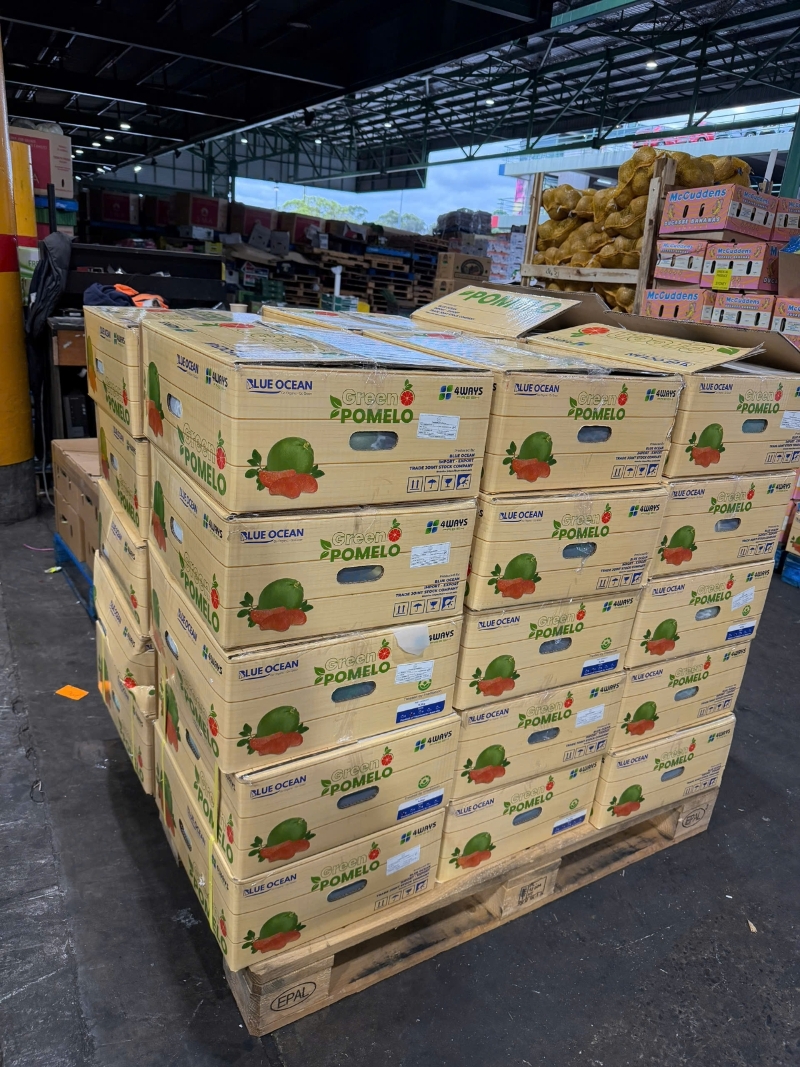 Vietnam exports first batch of fresh pomelos to Australia