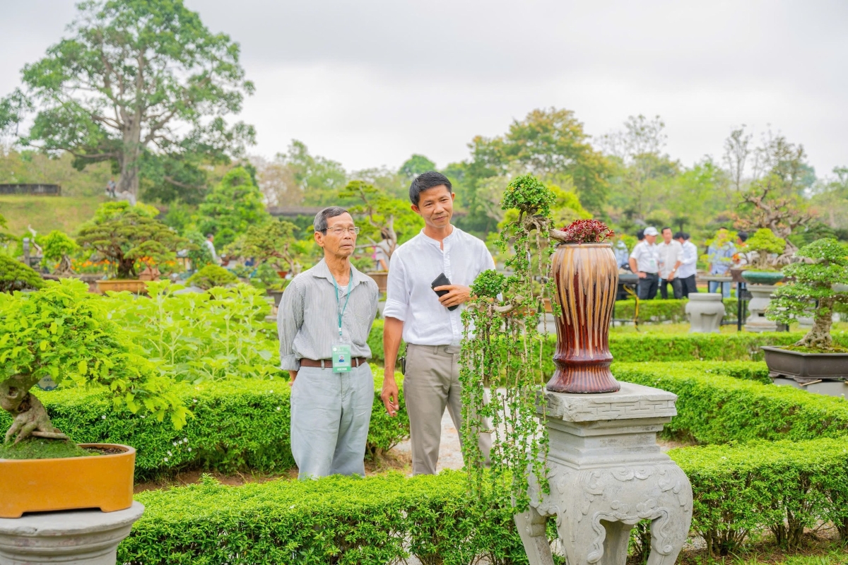 Những tác phẩm bonsai được tạo dáng công phu, thể hiện bàn tay tài hoa của nghệ nhân.