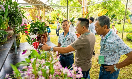 Du khách thích thú chiêm ngưỡng các tác phẩm phong lan đa dạng sắc màu.