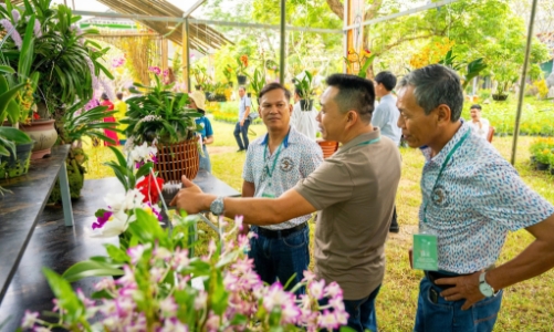 Về Huế mùa Festival, dạo “vườn nghệ thuật” giữa Hoàng cung