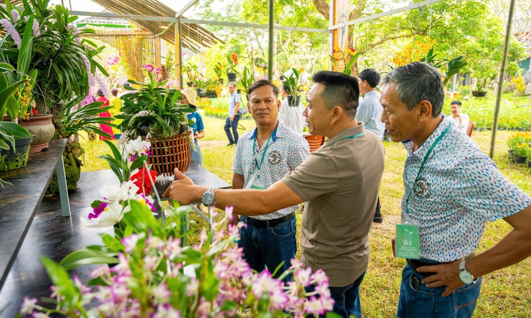 Về Huế mùa Festival, dạo “vườn nghệ thuật” giữa Hoàng cung
