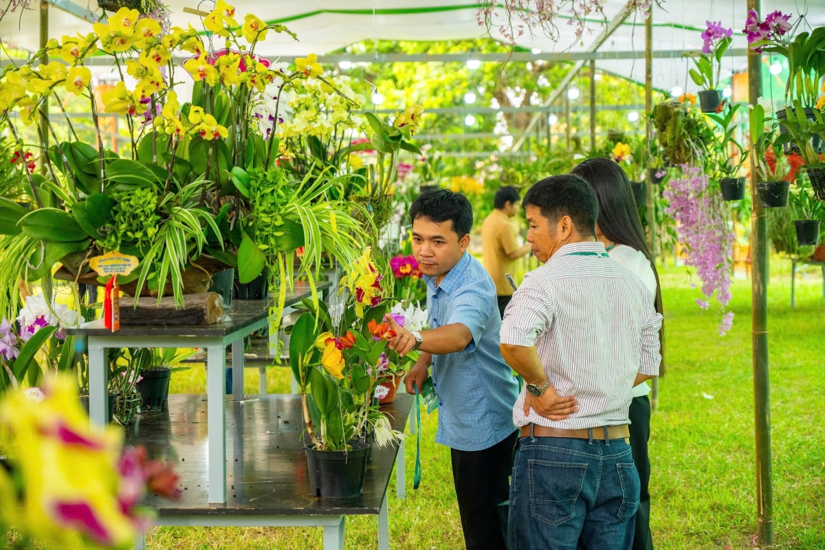 Du khách thích thú chiêm ngưỡng các tác phẩm phong lan đa dạng sắc màu
