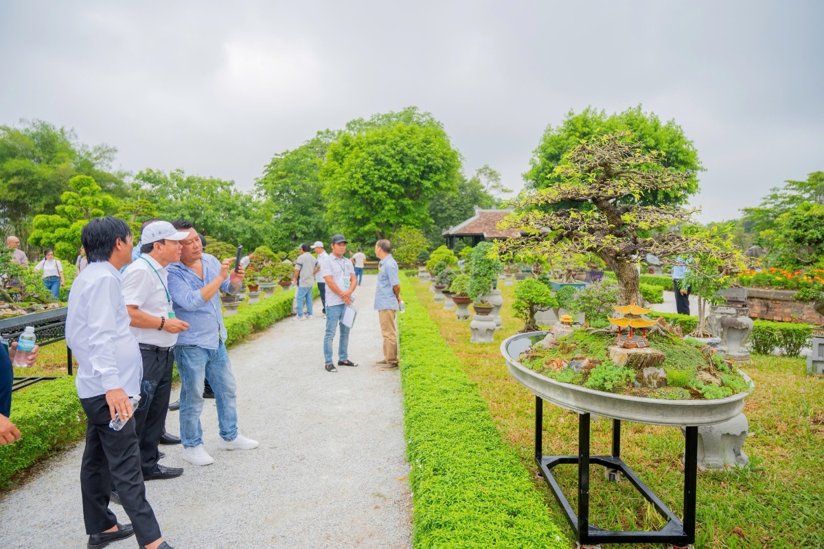 Các câu lạc bộ sinh vật cảnh mang đến nhiều tác phẩm đặc sắc từ khắp mọi miền.