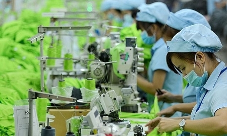 Lao động xanh tại Việt Nam hiện chỉ chiếm khoảng 3,6% tổng số việc làm.