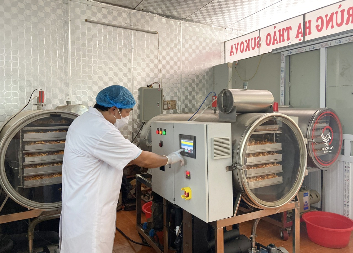 Máy sấy khô đông trùng hạ thảo tại&nbsp; Hợp tác xã Nông nghiệp dược liệu công nghệ cao SUKOVA.