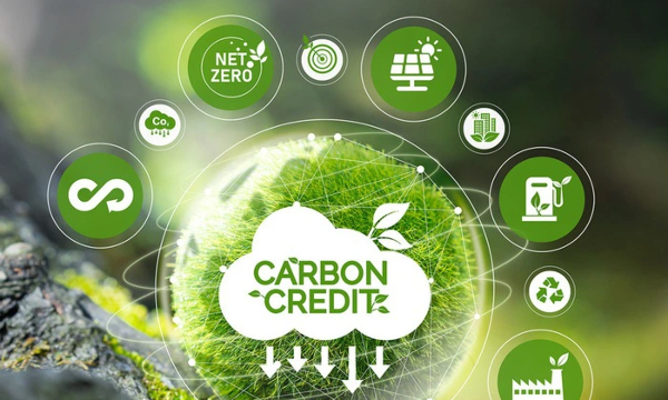 Thúc đẩy hợp tác trao đổi quốc tế tín chỉ carbon