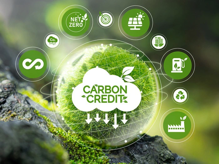 Thúc đẩy hợp tác trao đổi quốc tế tín chỉ carbon