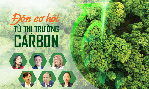 Đón cơ hội từ thị trường carbon