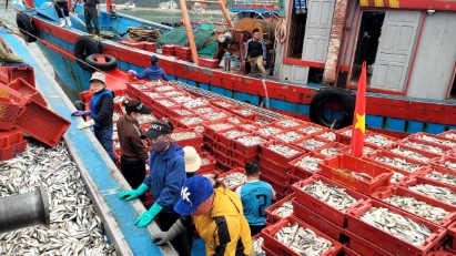 WB backs sustainable fisheries project in Nghe An