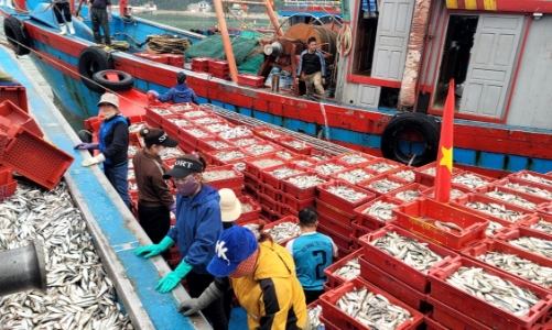 WB backs sustainable fisheries project in Nghe An