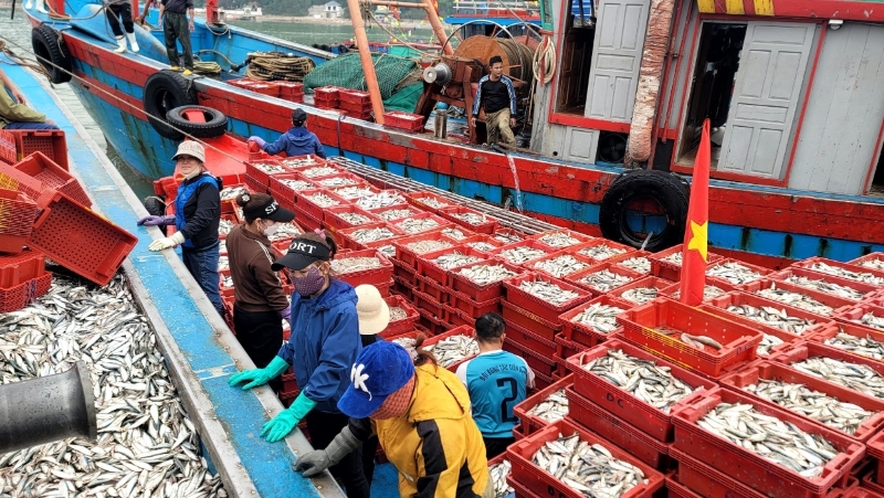 WB backs sustainable fisheries project in Nghe An