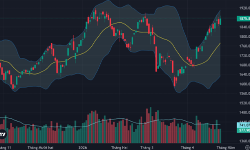 Cổ phiếu lao dốc hàng loạt