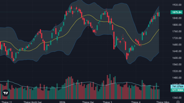 Cổ phiếu lao dốc hàng loạt