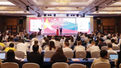 A key pillar of Vietnam - Russia relationship