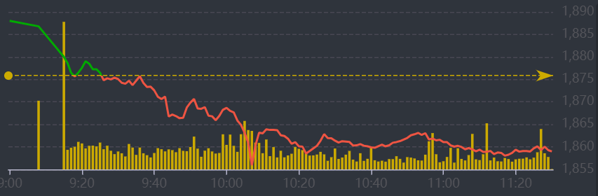 Diễn biến VN-Index sáng nay.