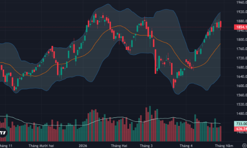 Cầu bắt đáy hoạt động mạnh trong nhóm cổ phiếu vừa và nhỏ