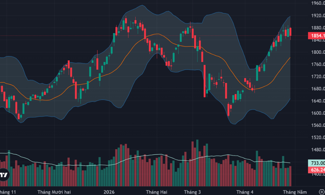 Cầu bắt đáy hoạt động mạnh trong nhóm cổ phiếu vừa và nhỏ