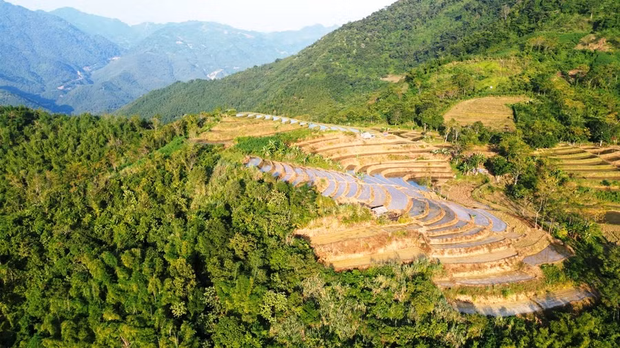 Ruộng bậc thang trong khu bảo tồn Pù Hu