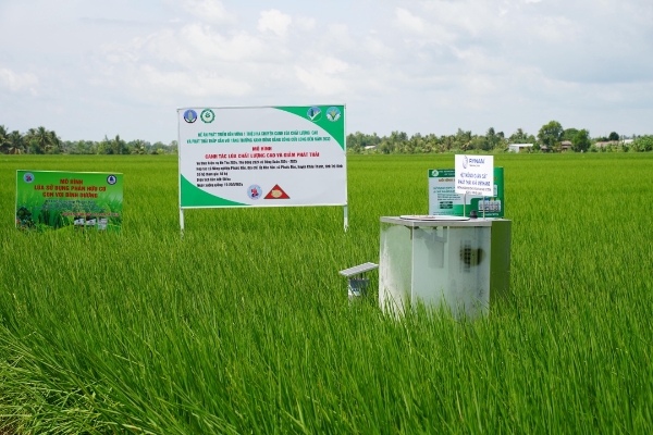 Đồng bằng sông Cửu Long có thể trở thành một trong những khu vực cung cấp tín chỉ carbon đáng kể của cả nước