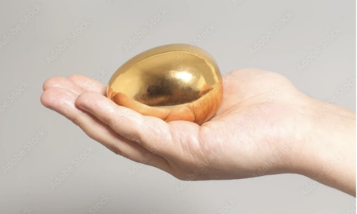 Danh mục 7 cổ phiếu tiềm năng tăng giá vượt 50% 