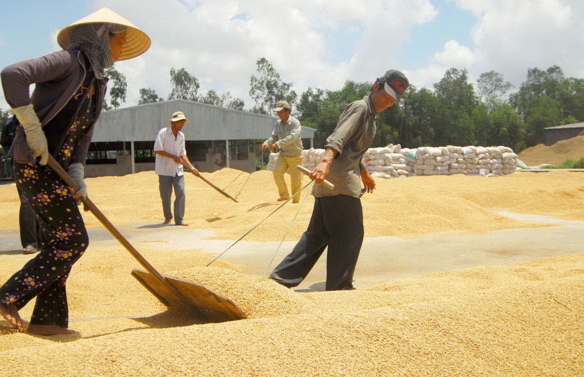 Cơ hội cho đồng bằng sông Cửu Long là có, nhưng không đến ngay lập tức mà phụ thuộc vào tiến độ hàn thiện thể chế cùng khả năng xây dựng các dự án đạt chuẩn