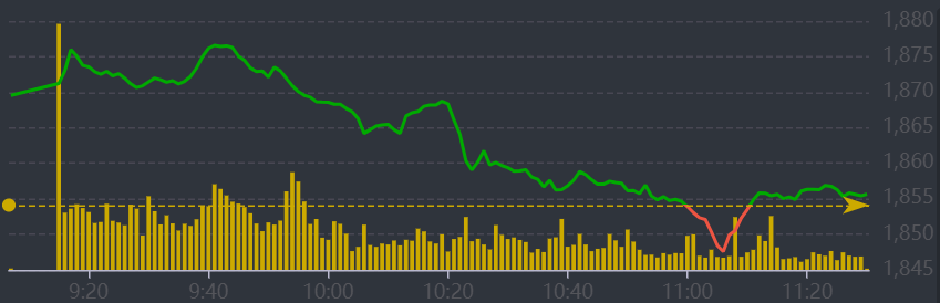 Diễn biến VN-Index sáng nay.