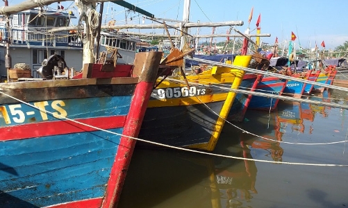 Hải Phòng đề xuất cơ chế giải bản 143 tàu cá