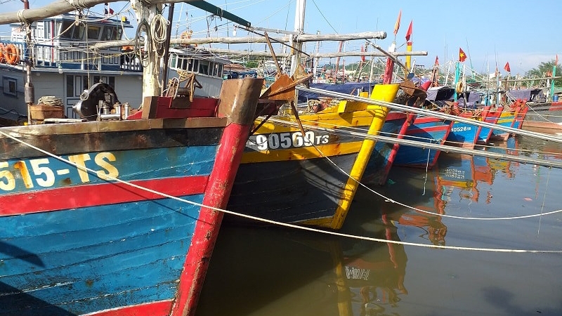 Dự kiến sẽ có 143 tàu cá được hỗ trợ giải bản và chuyển đổi nghề ổn định sinh kế.