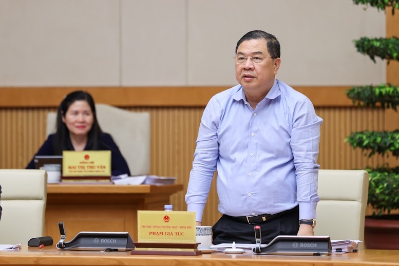 Phó Thủ tướng Thường trực Chính phủ Phạm Gia Túc phát biểu - Ảnh: VGP
