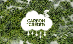 Đàm phán mua bán giảm phát thải, chuyển nhượng tín chỉ carbon rừng