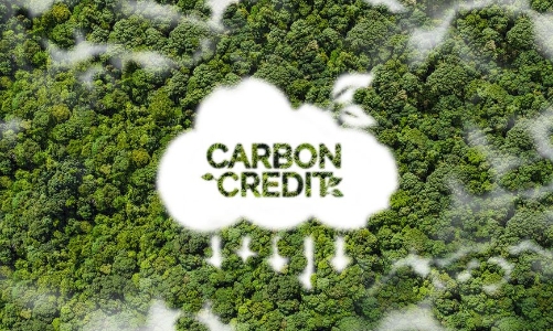 Đàm phán mua bán giảm phát thải, chuyển nhượng tín chỉ carbon rừng