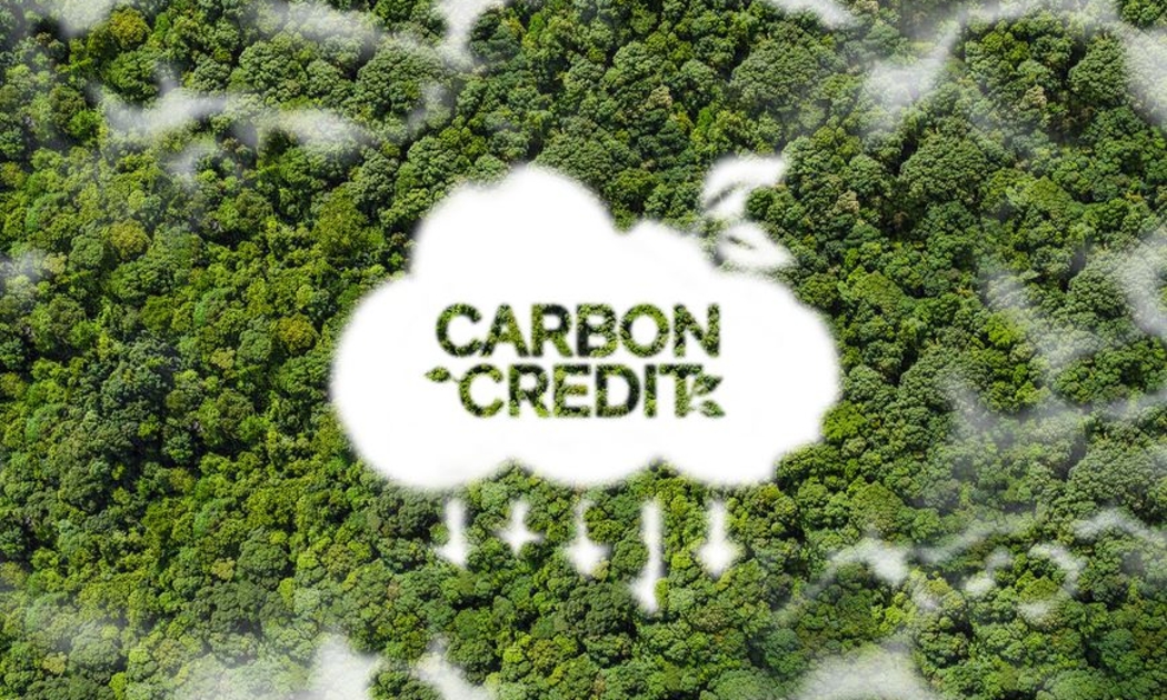 Đàm phán mua bán giảm phát thải, chuyển nhượng tín chỉ carbon rừng