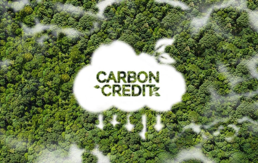 Bộ Nông nghiệp và Môi trường dự kiến hoàn thành thẩm định, cấp tín chỉ carbon rừng cho năm 2021-2022 vào quý 2/2026 và trình đề nghị cấp tín chỉ carbon rừng cho giai đoạn 2023-2025 vào quý 3/2026