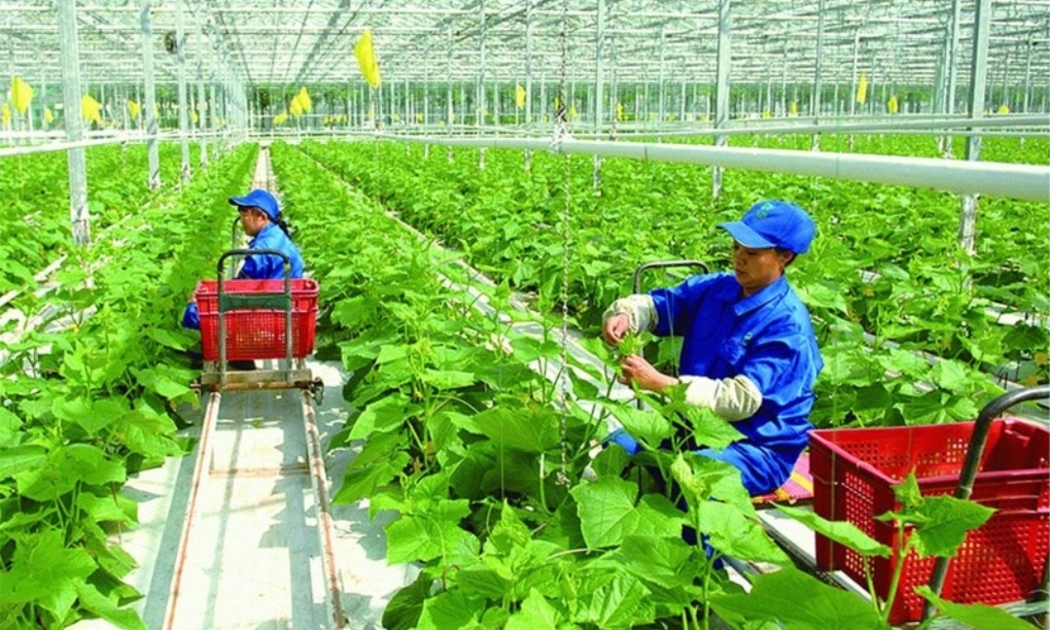 Hỗ trợ tới 60.000 EUR các sáng kiến chuyển đổi xanh do phụ nữ dẫn dắt