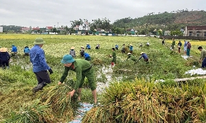 Những “cánh tay nối dài” xuống đồng cứu lúa cùng nông dân