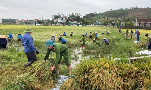 Những “cánh tay nối dài” xuống đồng cứu lúa cùng nông dân
