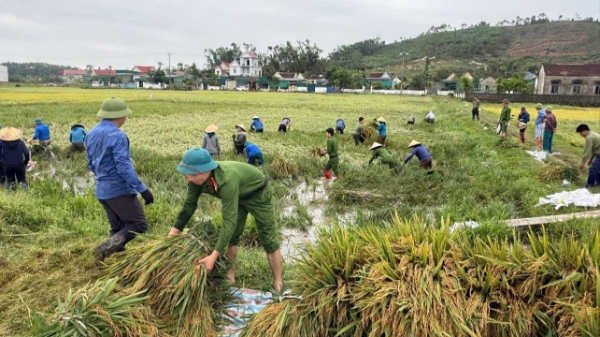 Những “cánh tay nối dài” xuống đồng cứu lúa cùng nông dân