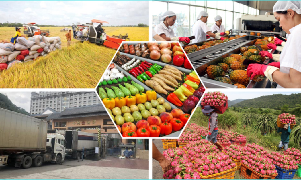 Xuất khẩu nông lâm thủy sản đạt hơn 23 tỷ USD, giữ vững đà tăng trưởng 