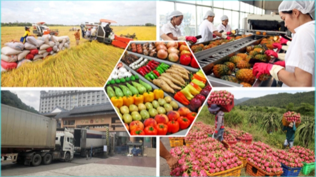 Vietnam's agro-forestry-fishery exports earn $23bln in 4M