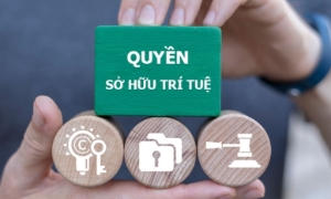 Quyền sở hữu trí tuệ: Từ “điểm nóng” vi phạm đến chiến dịch hành động toàn diện