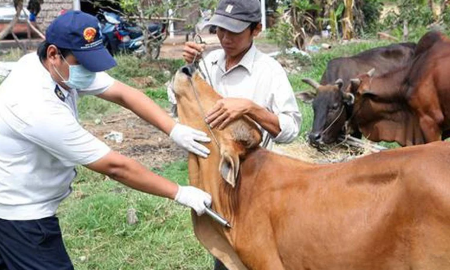 Đề xuất Thủ tướng Chính phủ cho phép nhập khẩu khẩn cấp vaccine SAT1