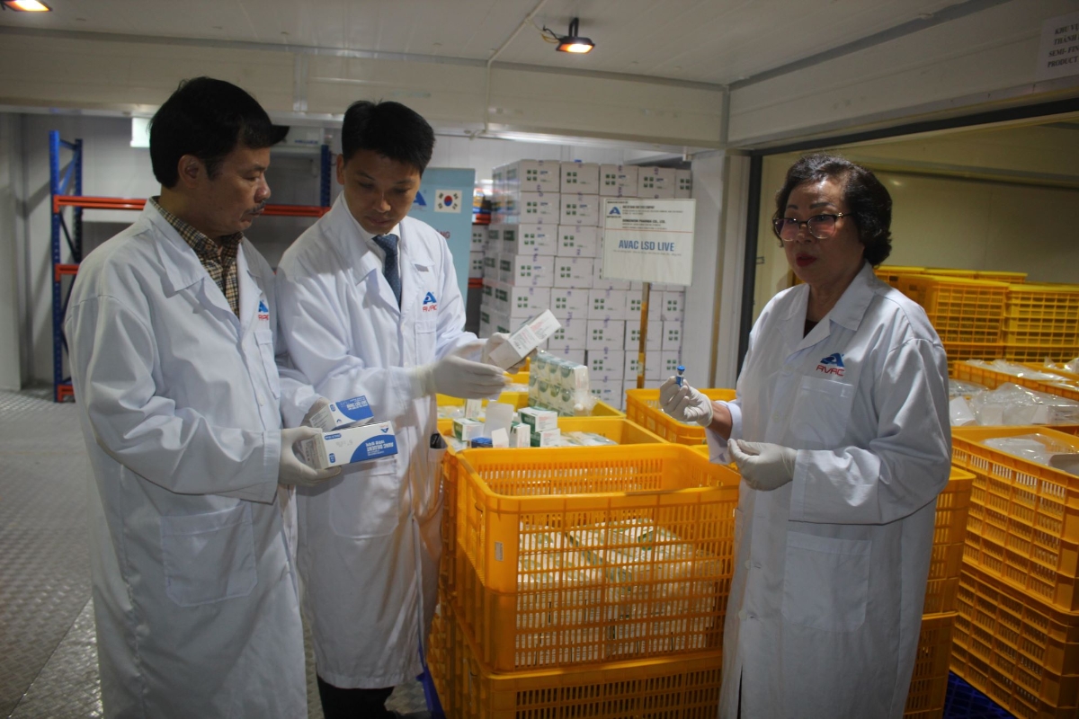 Kiểm tra vaccine trong kho lạnh. Ảnh: Chu Khôi.