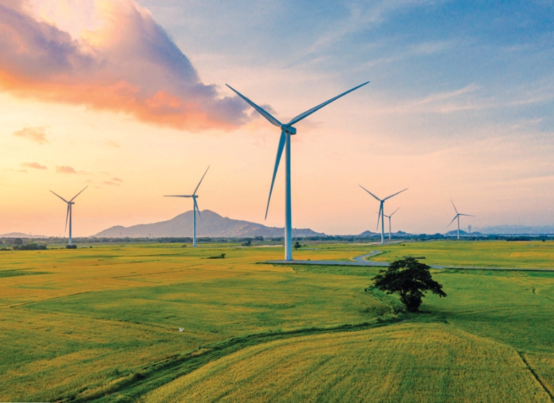 New opportunities for M&A in renewable energy