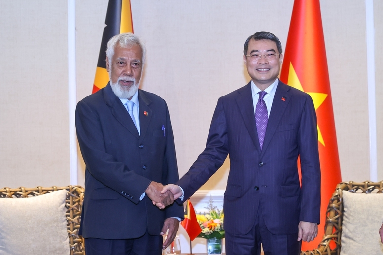 Thủ tướng Chính phủ Lê Minh Hưng có cuộc tiếp xúc song phương với Thủ tướng Timor-Leste Xanana Gusmão - Ảnh: VGP